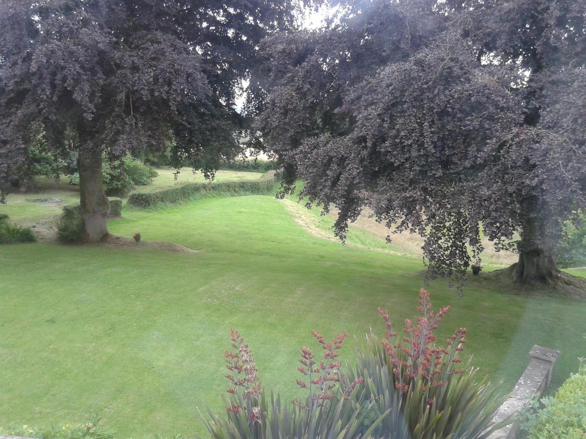 سيدموث Buckley Farmhouse B & B الغرفة الصورة