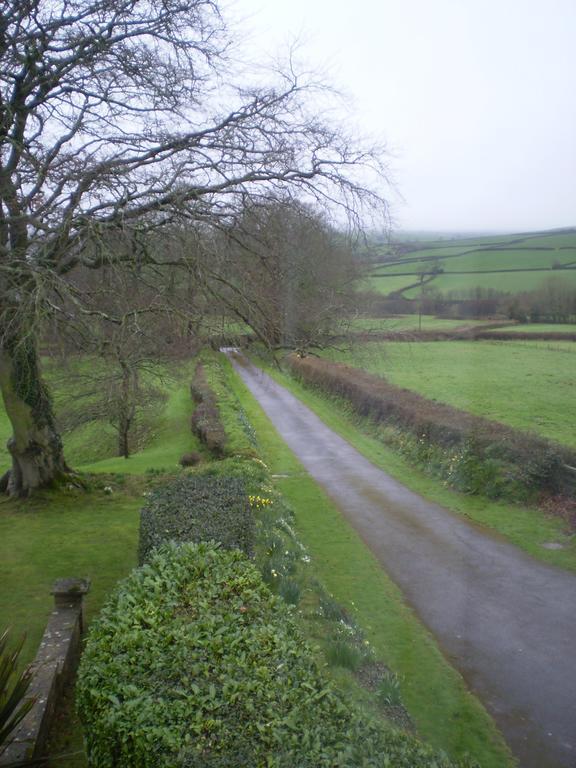 سيدموث Buckley Farmhouse B & B المظهر الخارجي الصورة