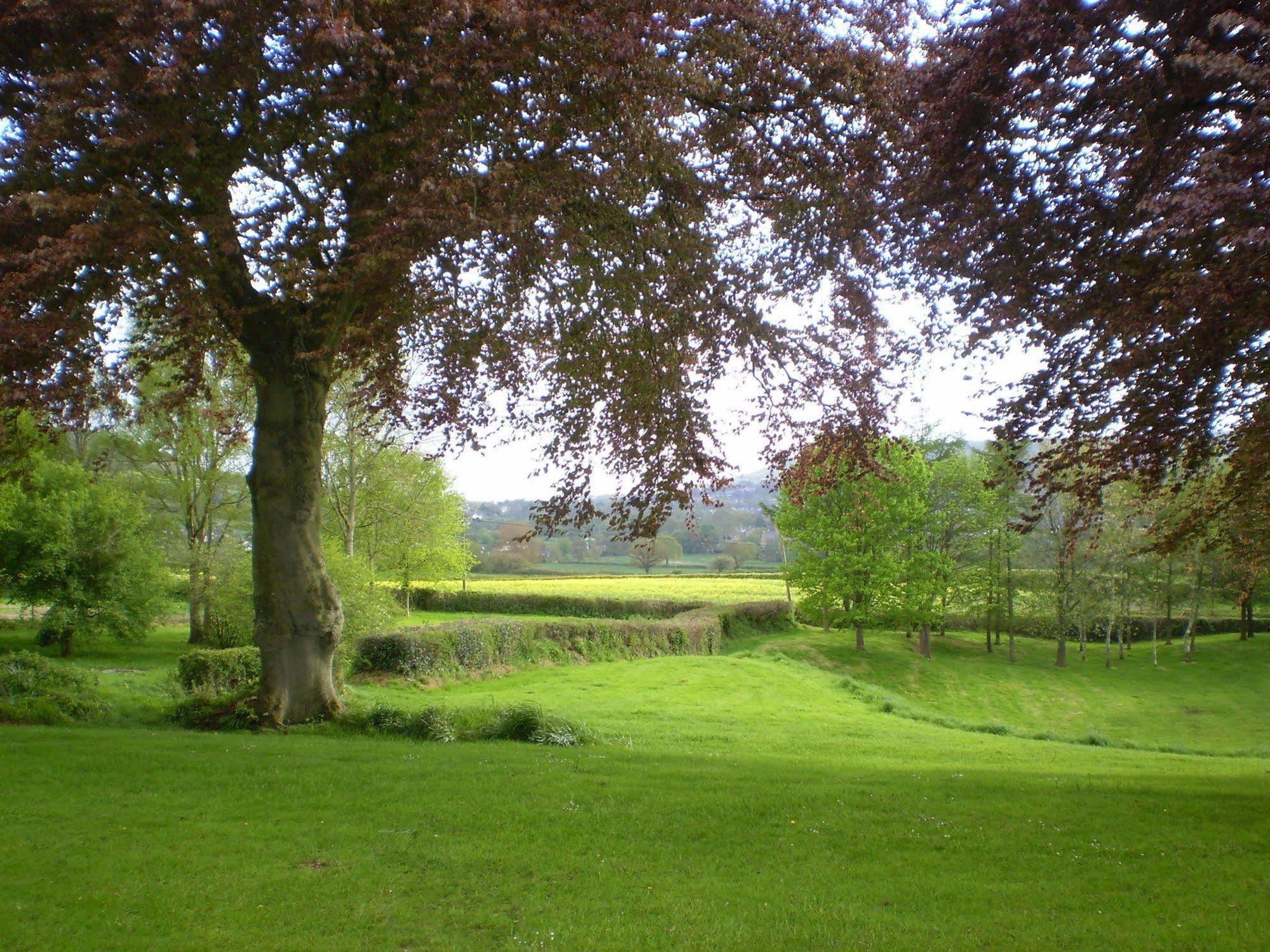 سيدموث Buckley Farmhouse B & B المظهر الخارجي الصورة
